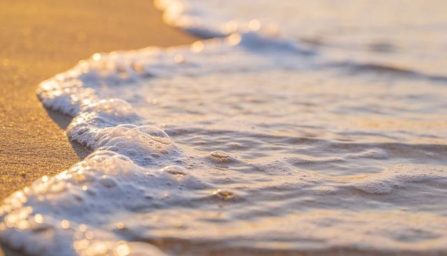 Golden sunrise foam washing over wet sand on tranquil seashore close-up texture background