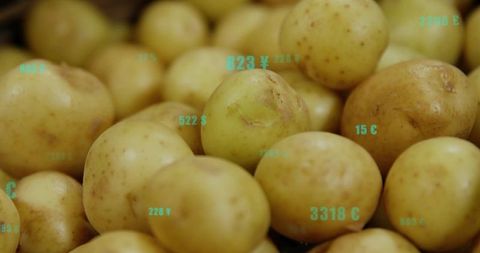 Close-up yellow potatoes with teal pricing overlays updating in woven market basket