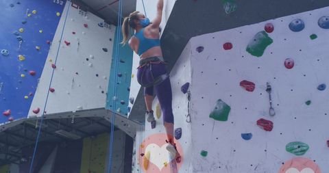 Fit woman indoor rock climbing wall gym training