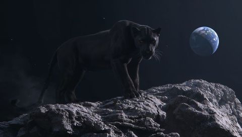 Black panther standing on moonlike rock with earth rising in dark space