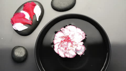 Flower Floating in Water Creating Serene Spa Atmosphere