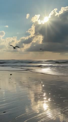 Vertical sunrise seagulls gliding over reflective beach with sunbeams through clouds