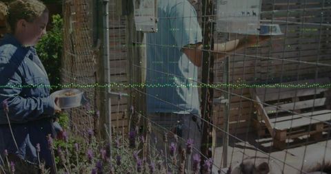 Volunteers caring for animals in garden enclosure