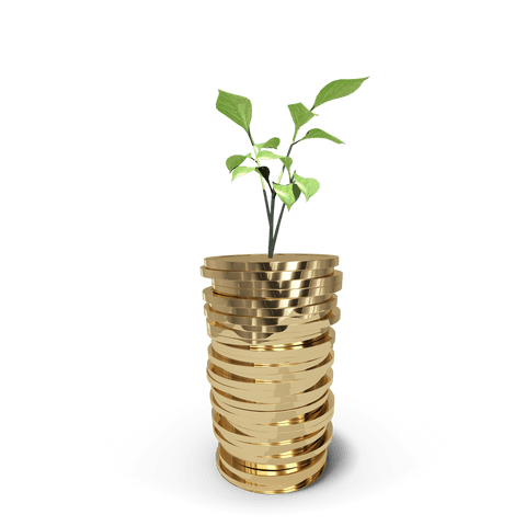 Transparent Plant Growing from Stack of Gold Coins - Download Free Stock Videos Pikwizard.com
