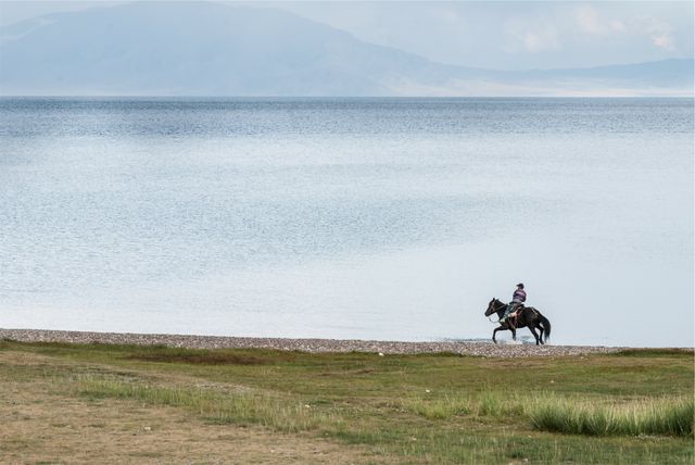 Horseback riding lake water  - Download Free Stock Photos Pikwizard.com