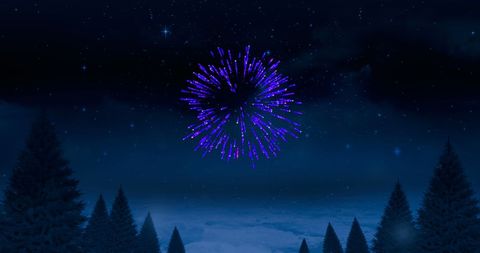 Purple Fireworks Exploding Above Forest in Night Sky - Download Free Stock Images Pikwizard.com