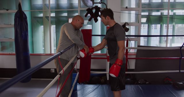 Boxing Trainer and Trainee Fist Bumping in Gym After Practice - Download Free Stock Images Pikwizard.com