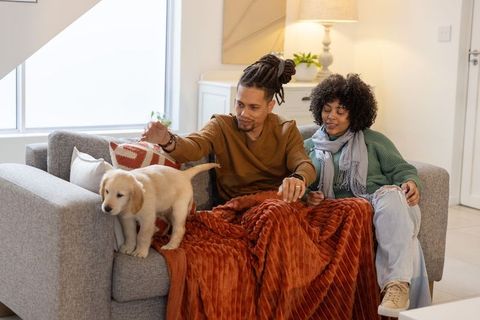 African american couple relaxing on sofa with golden retriever puppy under cozy blanket