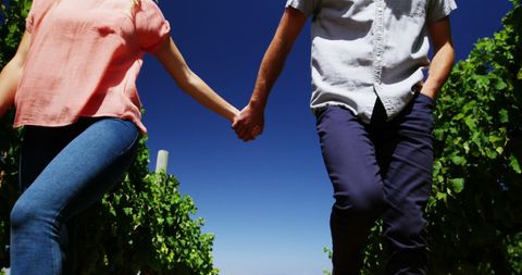 Couple Enjoying Leisurely Walk Through Vineyard Sunny Day
