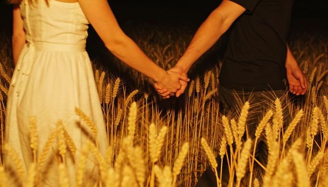 Backlit couple holding hands in golden wheat field at night romantic rural intimacy