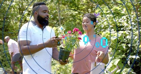Couple examining potted roses with augmented reality garden interface in sunlit backyard