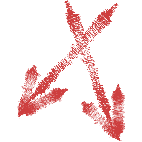 Rustic Red Arrows on Transparent Background Design - Download Free Stock Videos Pikwizard.com