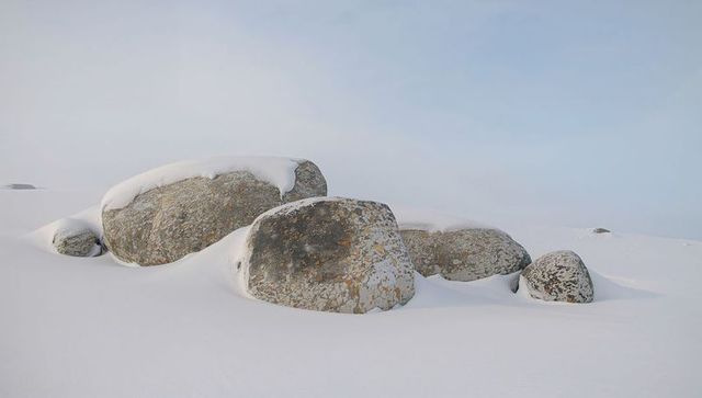 Granite boulders emerging from smooth snowdrifts on windswept arctic tundra
