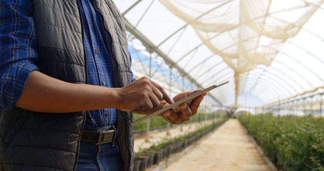 Farmer Using Tablet to Monitor Greenhouse Crops - Download Free Stock Images Pikwizard.com