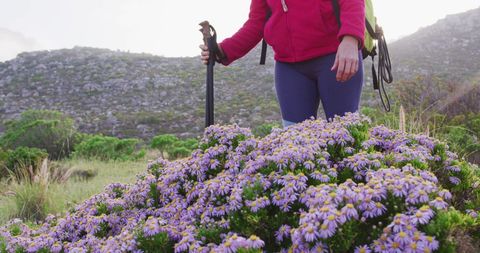 Senior Hiker Touching Wildflowers on Mountain Trek