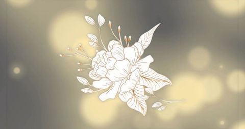 Floating White Line-Art Peony with Gold Accents on Soft Bokeh Gradient Background