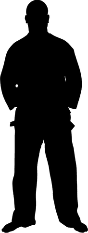 martial artist silhouette transparent background - Download Free Stock Videos Pikwizard.com