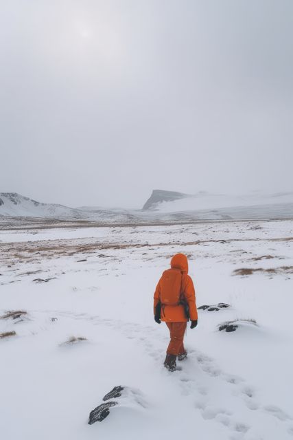 Man walking in frozen arctic tundra landscape, created using generative ai technology - Download Free Stock Photos Pikwizard.com