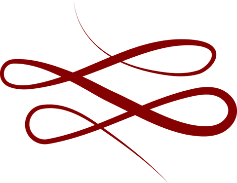 Elegant Brown Spiral Line on Transparent Background - Download Free Stock Videos Pikwizard.com