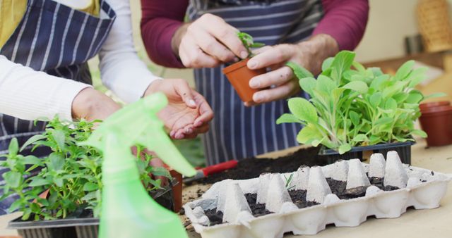 Two people engaged in gardening, focused on handling potted seedlings and other gardening supplies. Various plants, soil, and garden tools are visible on the table. This image is perfect for illustrating themes related to teamwork, sustainability, and horticulture. It can be used for articles, blog posts, advertisements, or any content promoting environmental awareness and outdoor activities.