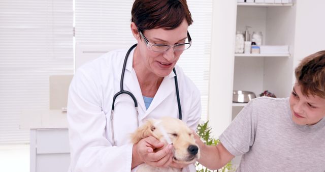 Friendly Veterinarian Examines Happy Puppy with Young Boy - Download Free Stock Images Pikwizard.com