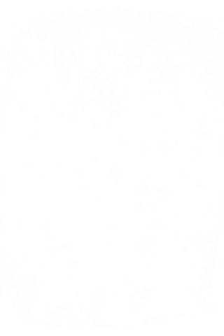 Festive Christmas Decorations on Transparent Background - Download Free Stock Videos Pikwizard.com