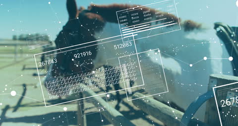 Digital Data Interface Overlaying Rustic Farm Scene