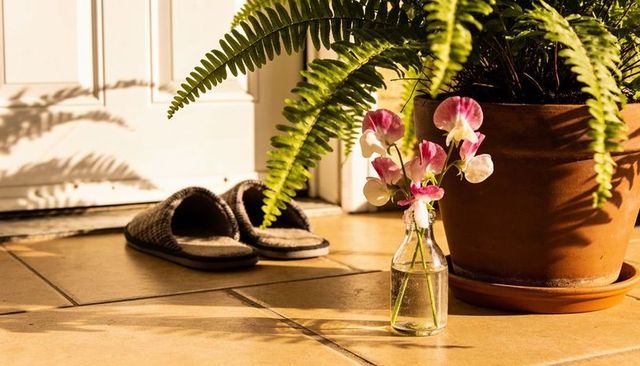 Sunlit foyer showing glass bud vase with pink blossoms and terracotta fern casting shadows