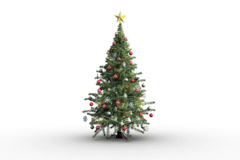 Decorated Christmas Tree on Transparent Background - Download Free Stock Videos Pikwizard.com