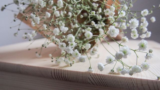 Delicate baby’s breath flowers gently rest on a light wooden surface. The soft focus and simplicity of the arrangement evoke a sense of tranquility and minimalism. Ideal for use in projects related to nature, floral design, wedding decorations, and minimalistic aesthetics. This image can also serve as a lovely background for inspirational quotes and lifestyle blogs.