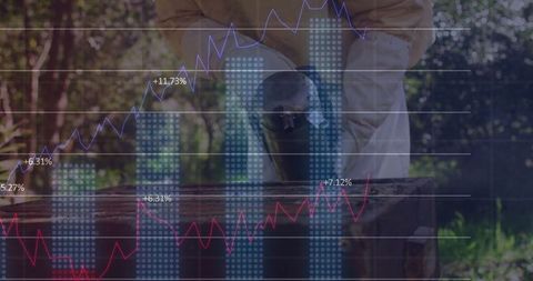 Beekeeper Maintaining Hive with Financial Overlay in Rural Apiary