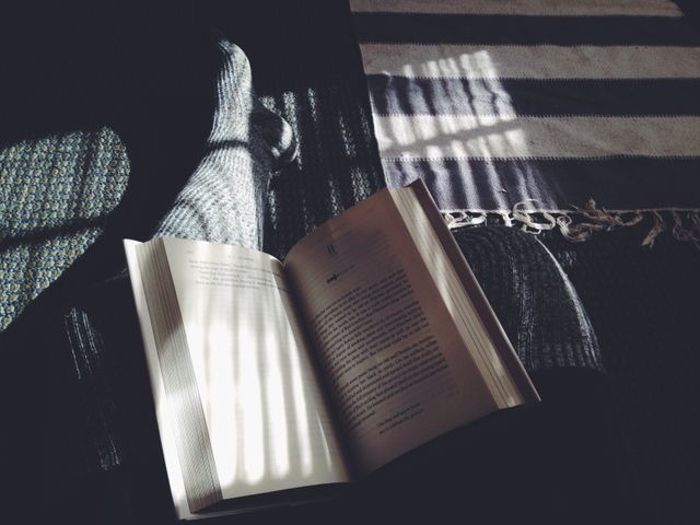 Reading Book in Morning Sunlight with Shadow Patterns - Download Free Stock Photos Pikwizard.com