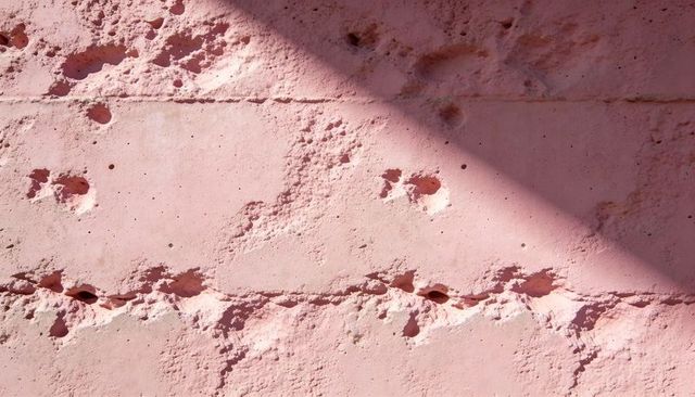 Weathered pink concrete block wall showing chipped paint, mortar seams, diagonal shadow