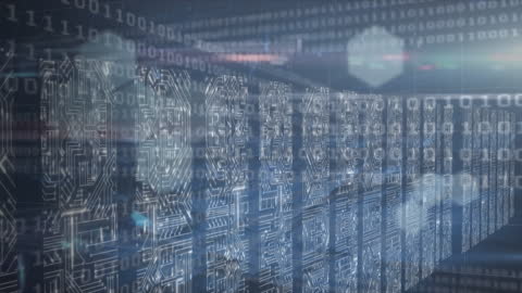 Digital Network Connections with Binary Background