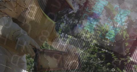 Beekeeper Inspecting Hive Frame with Augmented Reality HUD Overlays for Smart Farming
