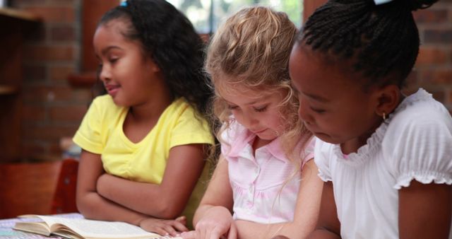 Diverse Young Students Engaged in Reading Together - Download Free Stock Images Pikwizard.com