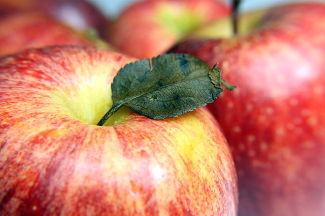 Close-up image showing fresh red apples with a detailed view of a green leaf. Ideal for use in healthy eating promotions, produce advertising, or agricultural presentations. Suitable for websites, blogs, and advertisements related to fruits, health, and organic products.