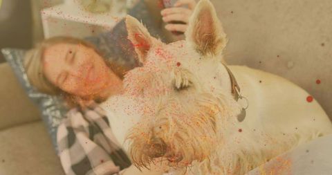 White terrier resting on lap beside relaxed woman on couch with warm painterly speckles