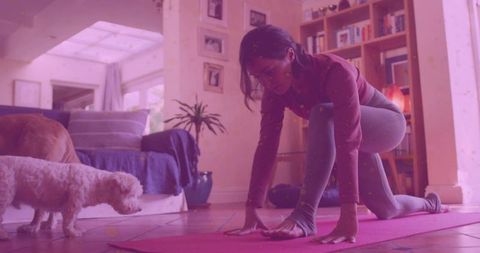 Woman Practicing Yoga Lunge at Home With Dogs in Cozy Living Space