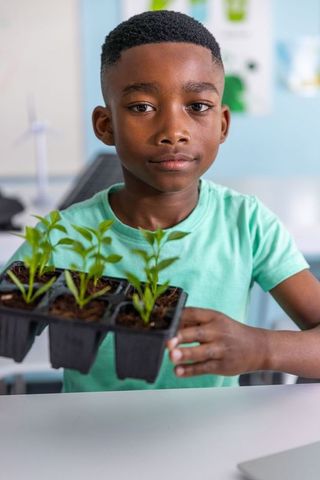 African american boy holding seedlings, learning sustainable gardening and renewable energy