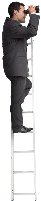 Transparent Background Businessman on Ladder Using Binoculars - Download Free Stock Videos Pikwizard.com