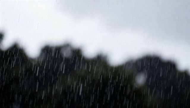 Falling rain streaks over dark treeline under overcast sky, moody forest downpour