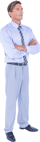 Confident Businessman Standing with Arms Crossed Transparent Background - Download Free Stock Videos Pikwizard.com
