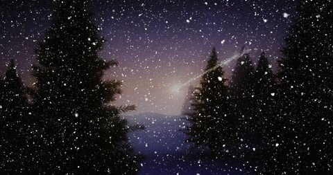 Snowy Winter Night with Falling Snowflakes and Pine Trees - Download Free Stock Images Pikwizard.com