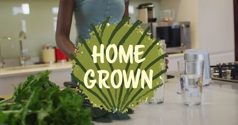 African American Woman Cooking Homegrown Produce in Kitchen