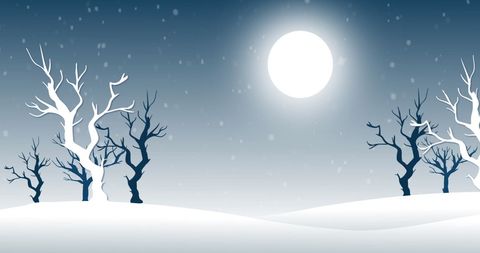 Winter Wonderland Moonlit Night with Frosty Landscape - Download Free Stock Images Pikwizard.com