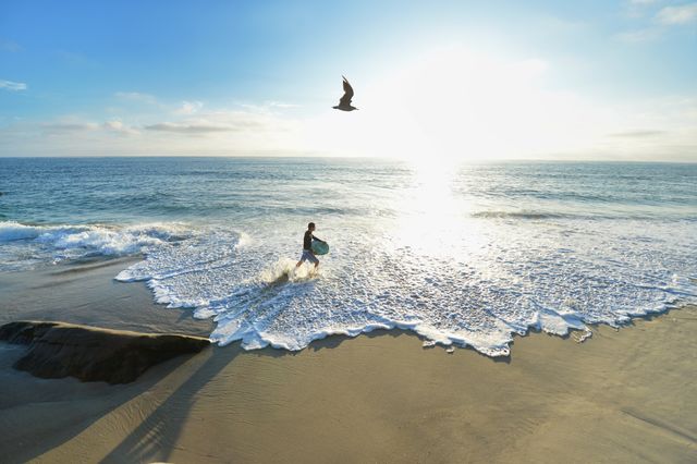 Sunset beachscape with a surfer carrying a surfboard walking along the shore while a bird is flying overhead. Useful for vacation planning, travel websites, outdoor recreation promotions, and advertisements featuring tranquil coastal scenes. Highlights themes of relaxation, adventure, and nature appreciation.