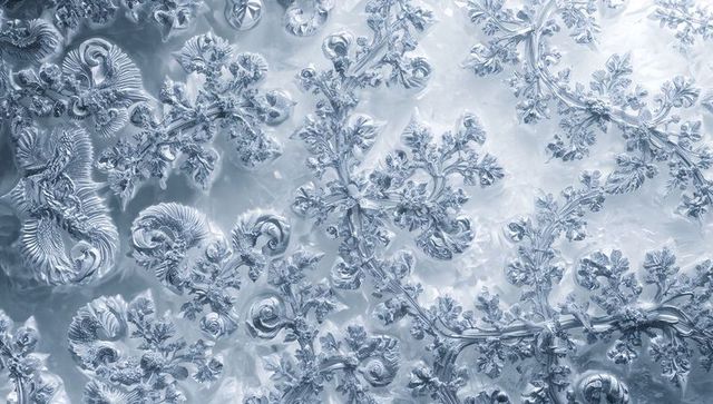 Intricate frost crystals forming on glass with dendritic rosettes and translucent lattice