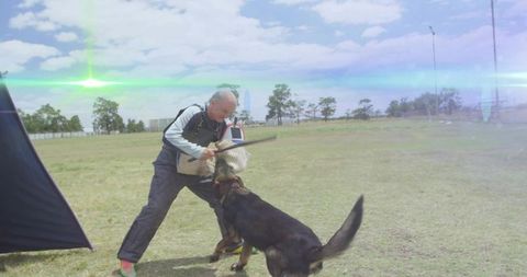K9 protection trainer wearing padded suit training german shepherd bitework outdoors