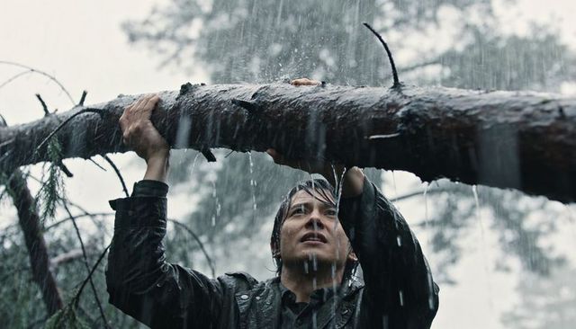 Struggling under fallen tree in heavy rain in pine forest, man showing rugged endurance